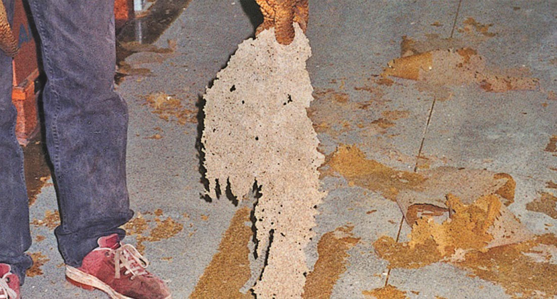 floor surface peeling