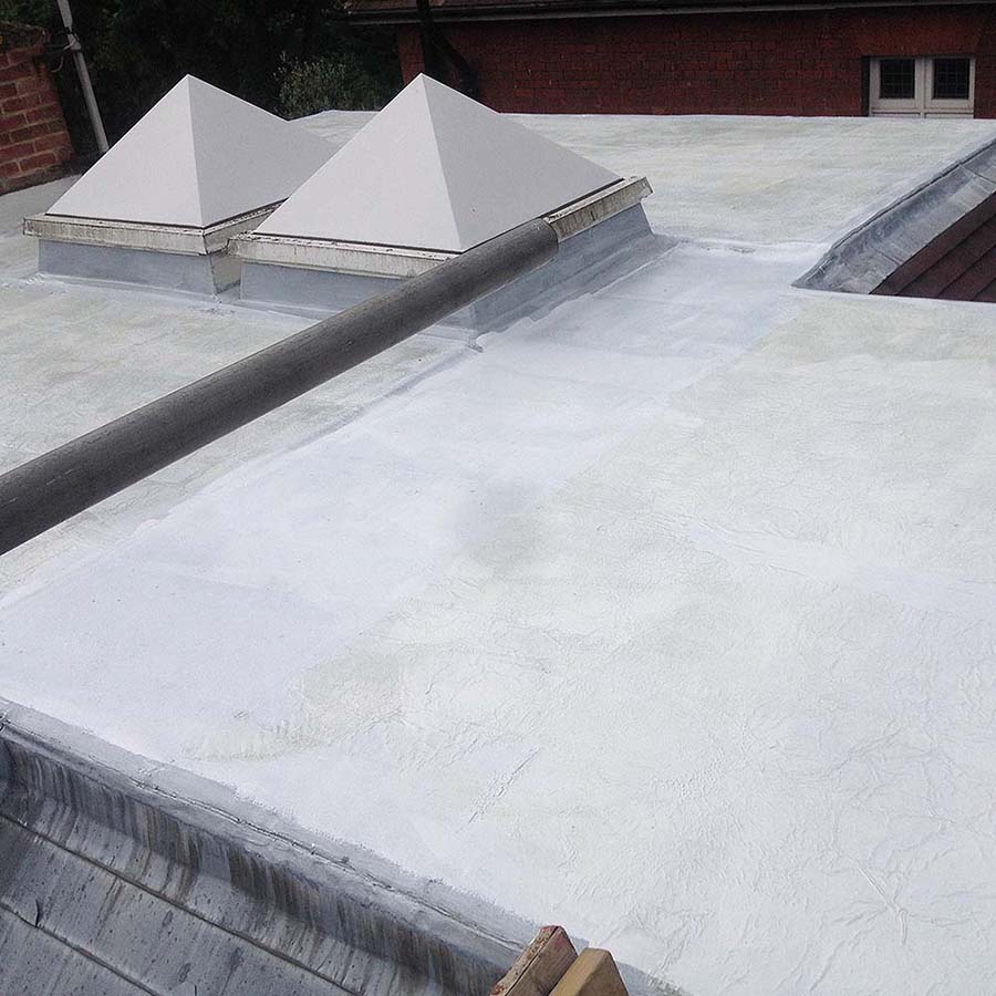 roof top with roof windows