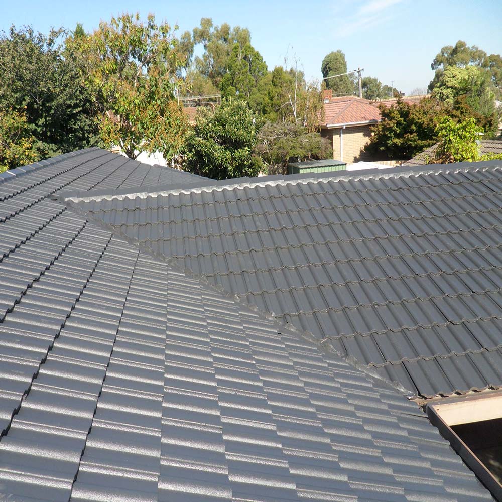 Roof coating