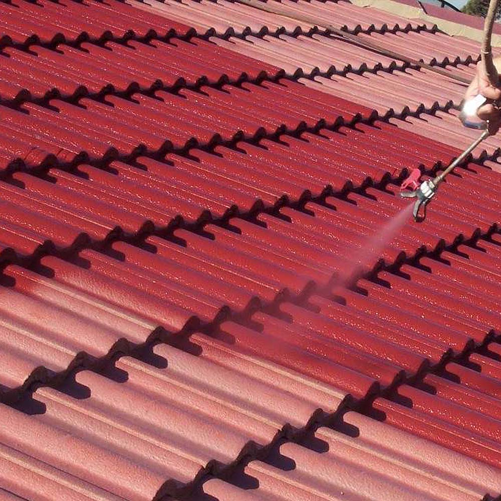 Roof tile paint