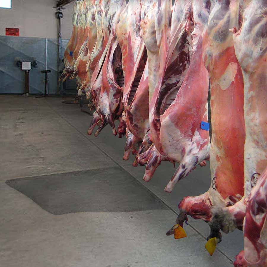 low temperature concrete suitable for a butchers storage facility