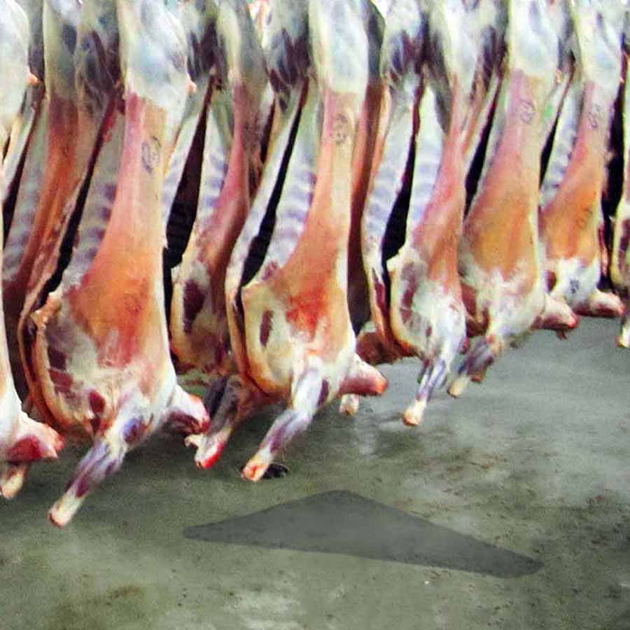 low temperature concrete in butchers storage facility