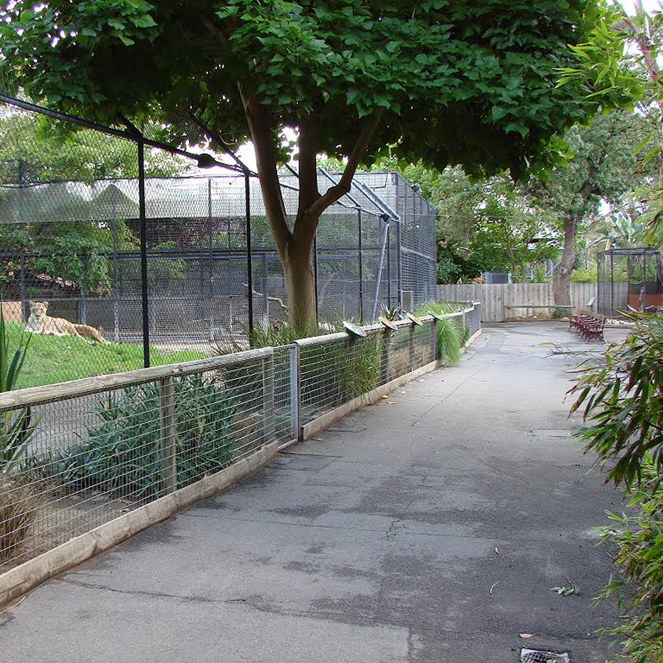 External Crackfiller - Image 6