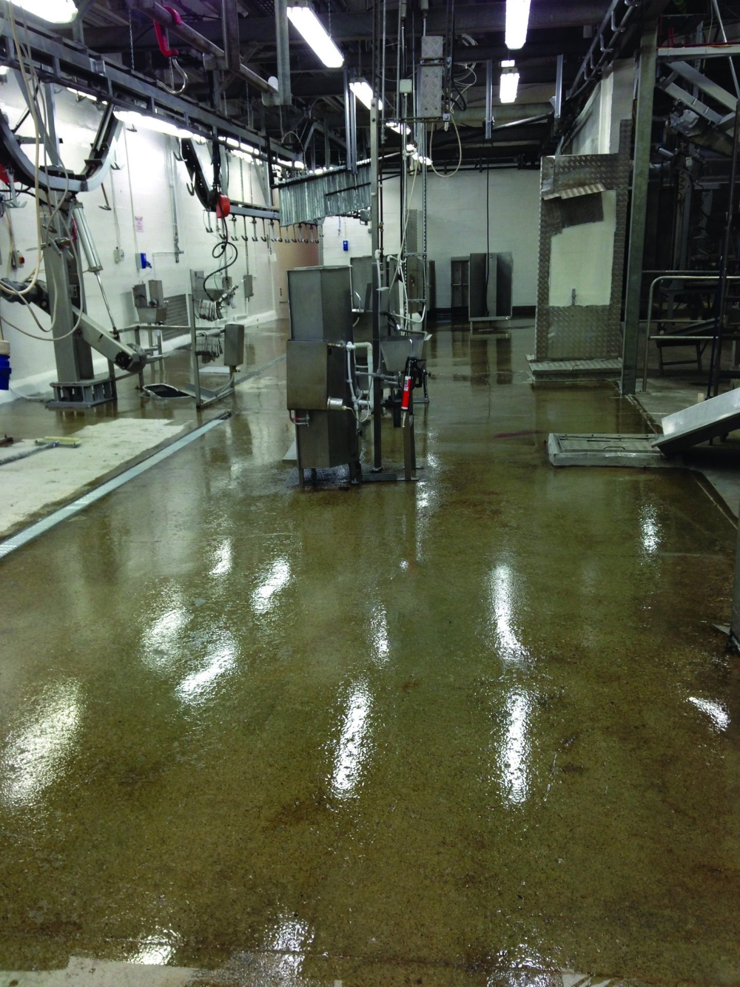 Flortex® Fastset Coloured - Slip Resistant - Image 3